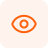 icon-vission